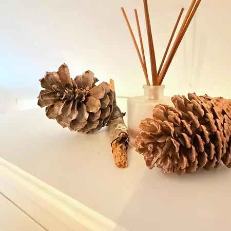 Le Cocoon De Marie Astrid- Centre&plage Lägenhet