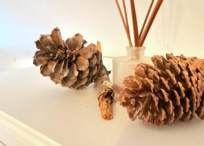 Le Cocoon De Marie Astrid- Centre&plage شقة